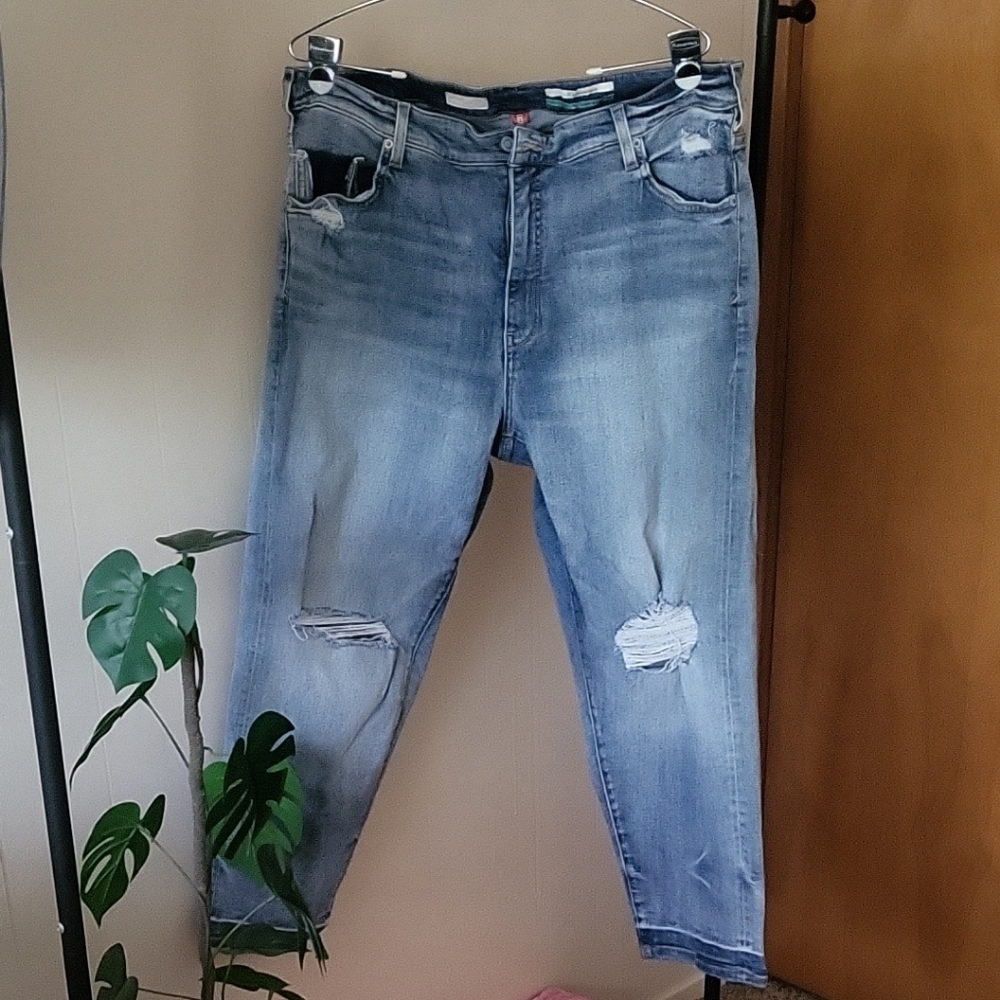 Pilcro By Anthropologie Distressed Jeans Size 20W